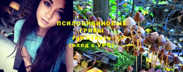 ешки Зеленокумск